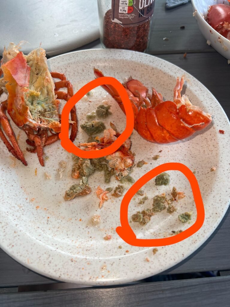 What Does Lobster Poop Look Like ?