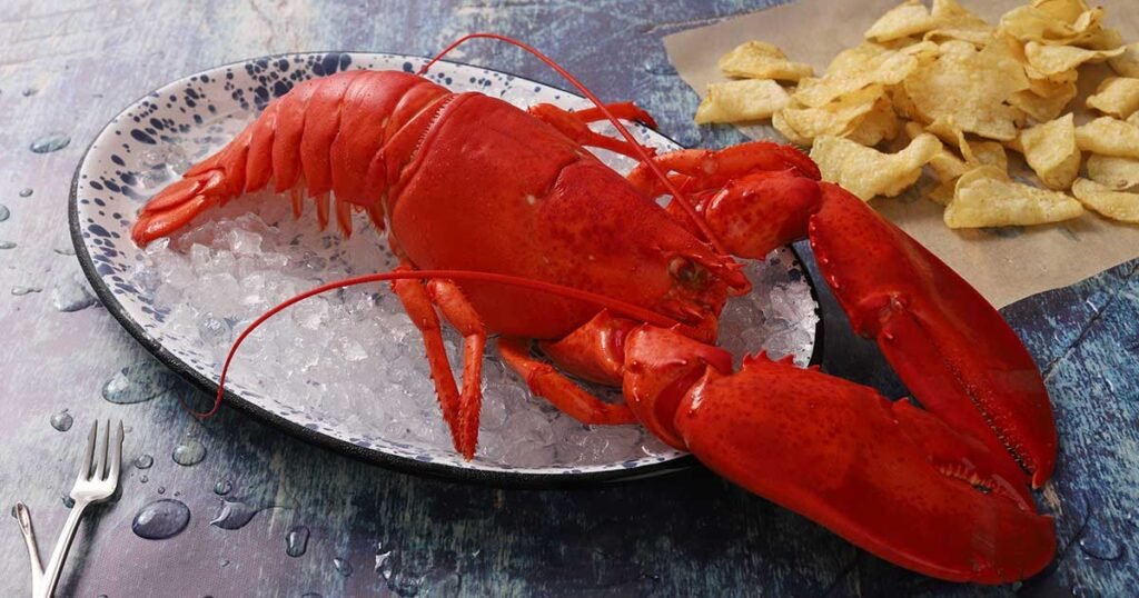 Can You Cook a Dead Lobster ?